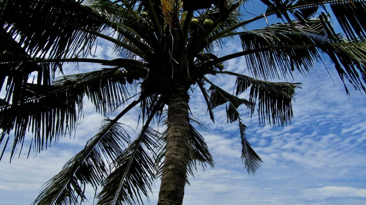 Dikaloha Surfschool And Stay Airsatang Экстерьер фото