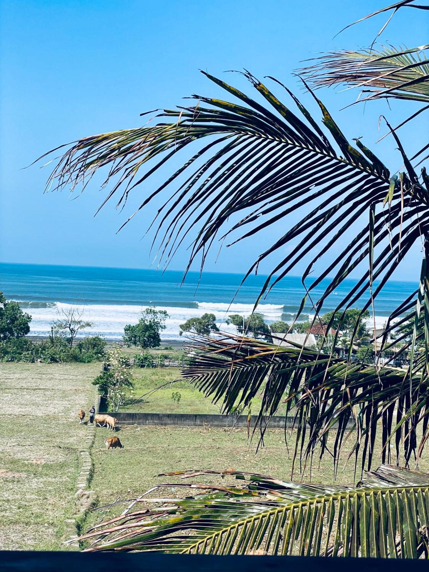 Dikaloha Surfschool And Stay Airsatang Экстерьер фото